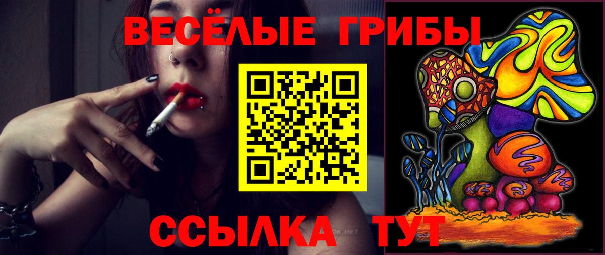 Дзержинск  Псилоцибиновые грибы Cubensis  где продают   Вход с VPN 